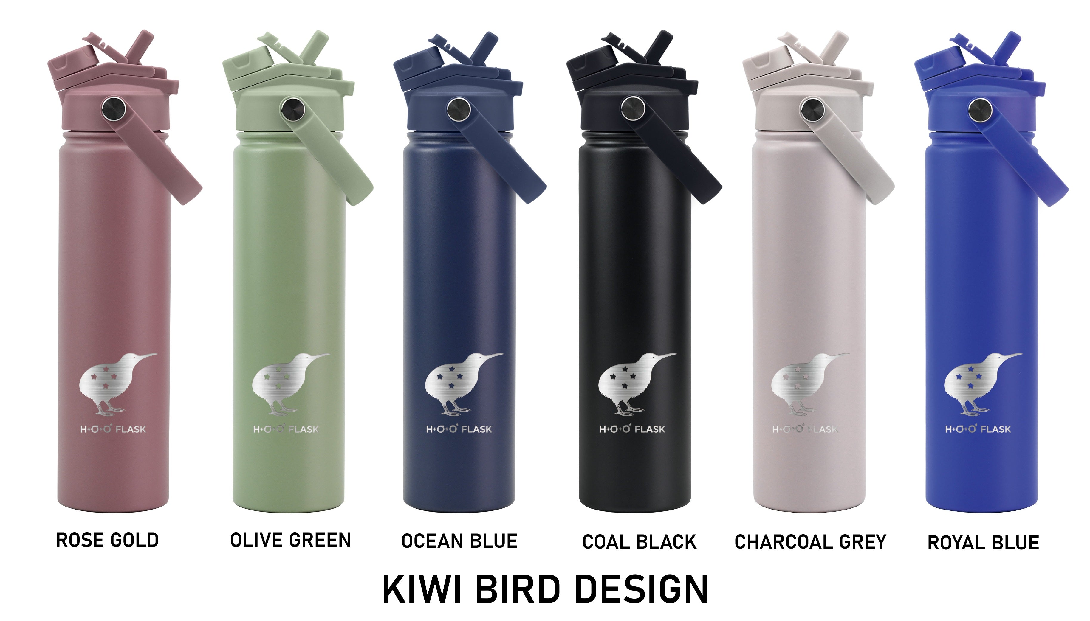 Iconic Kiwi Bird
